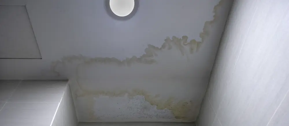 Interior view of a white bathroom ceiling showing prominent yellow and brown water spots on ceiling caused by moisture intrusion.